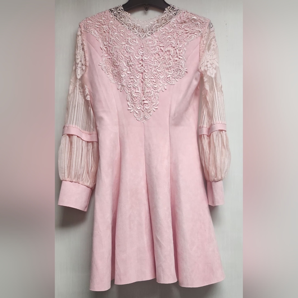 Blue Sky Elegant Pink Lace Dress - Picture 5 of 9